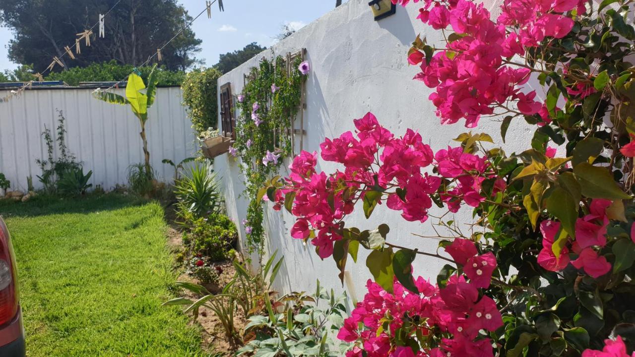 Casa Pelicano Chiclana de la Frontera Exterior foto